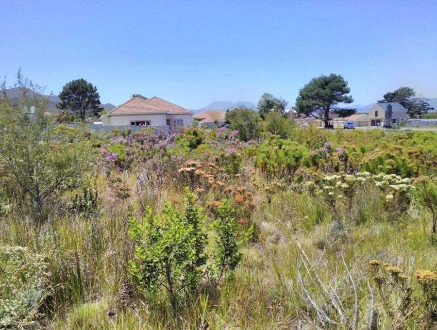 0 Bedroom Property for Sale in Kleinmond Western Cape